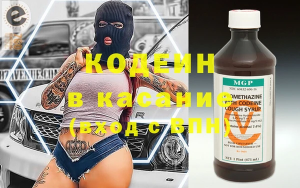 хмурый Гусь-Хрустальный