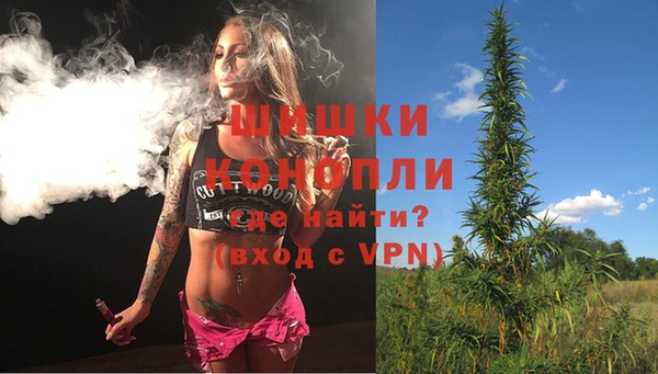 ешки Мегион